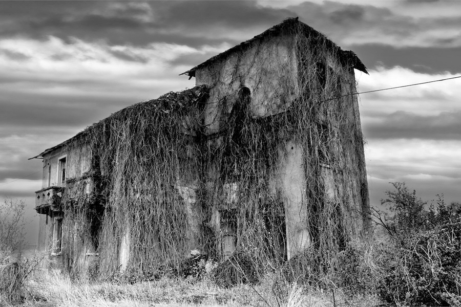 la casa nel parco/ the house in the park