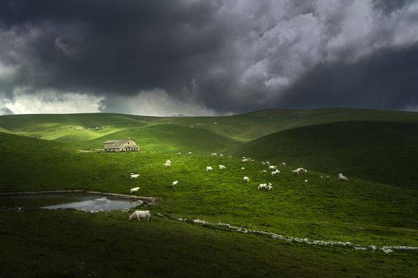 la casa nella prateria