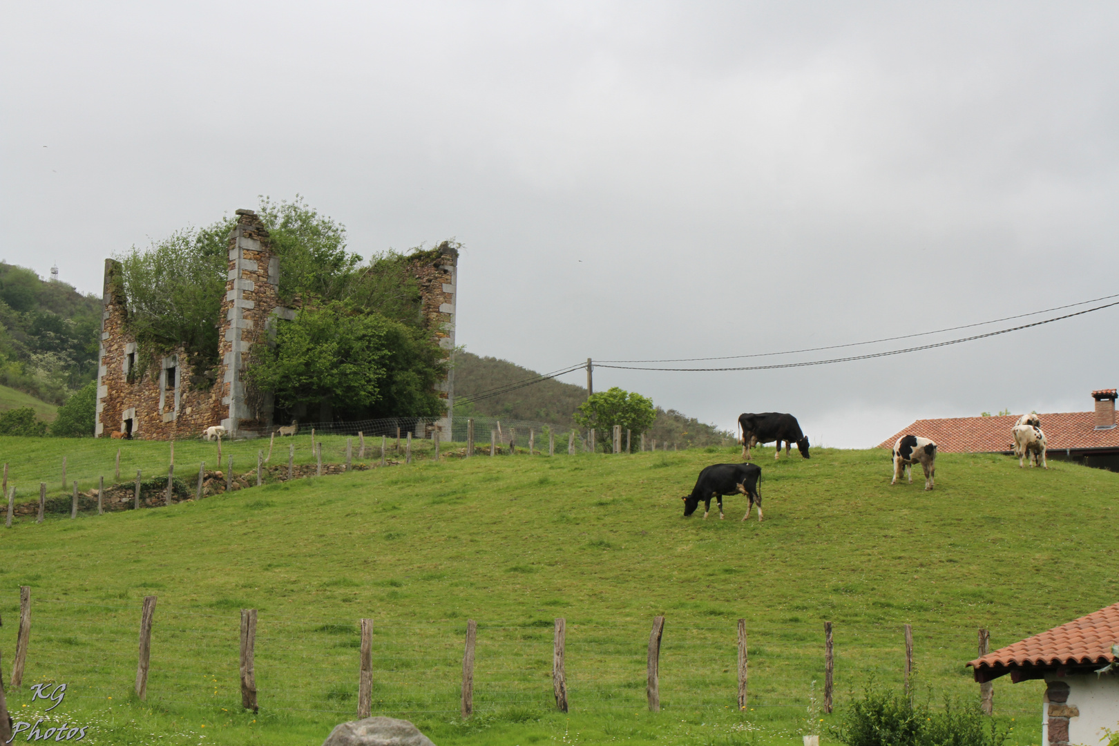 LA CASA QUE DA DE COMER