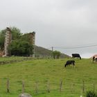 LA CASA QUE DA DE COMER