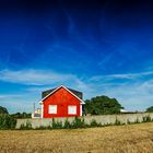 LA CASA ROJA