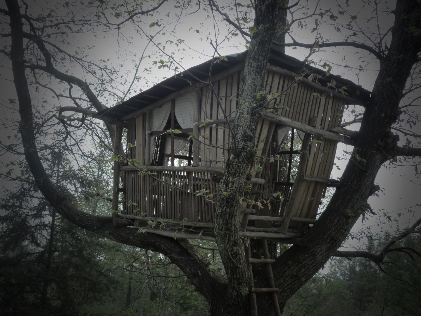 La casa sull'albero