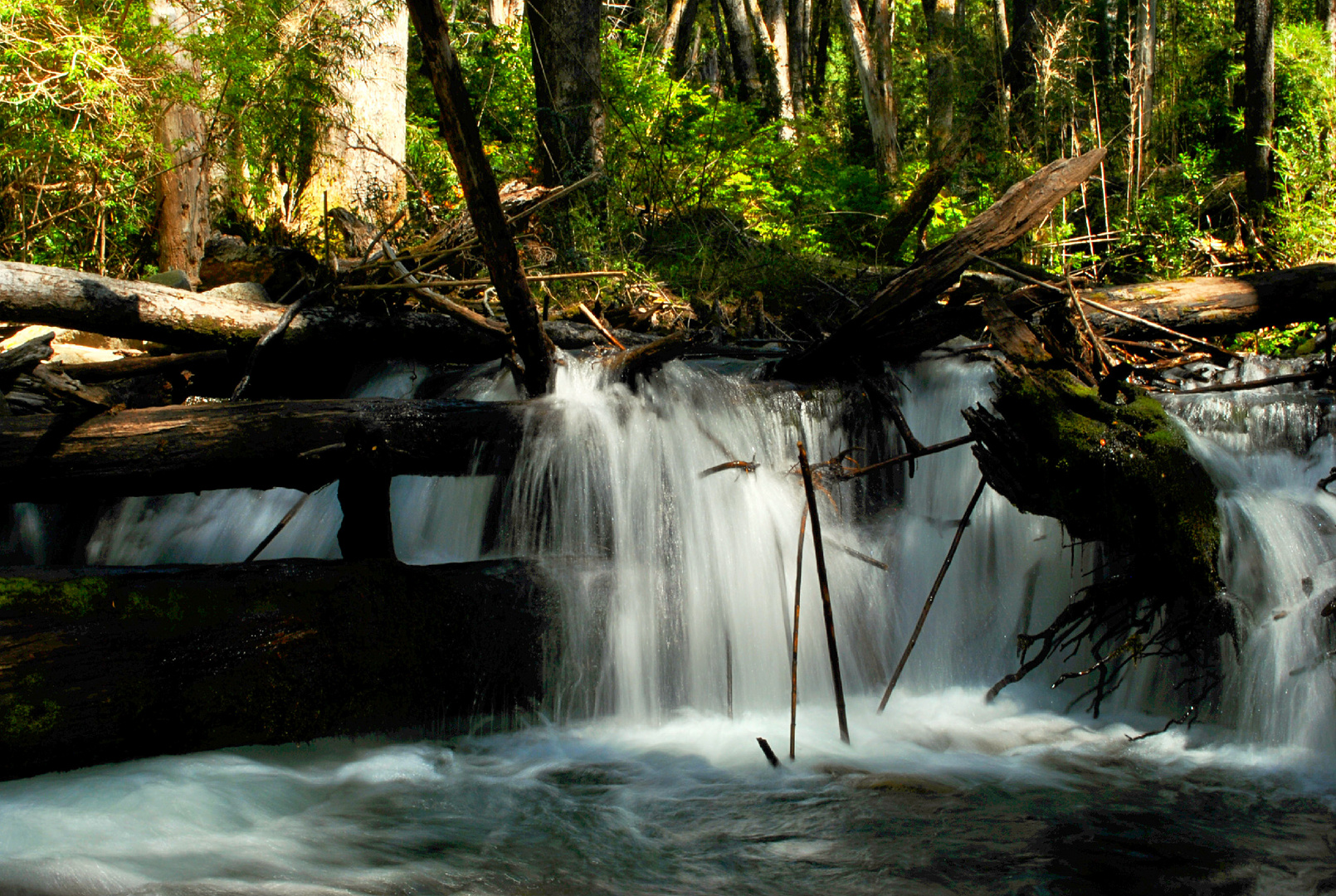 La cascada