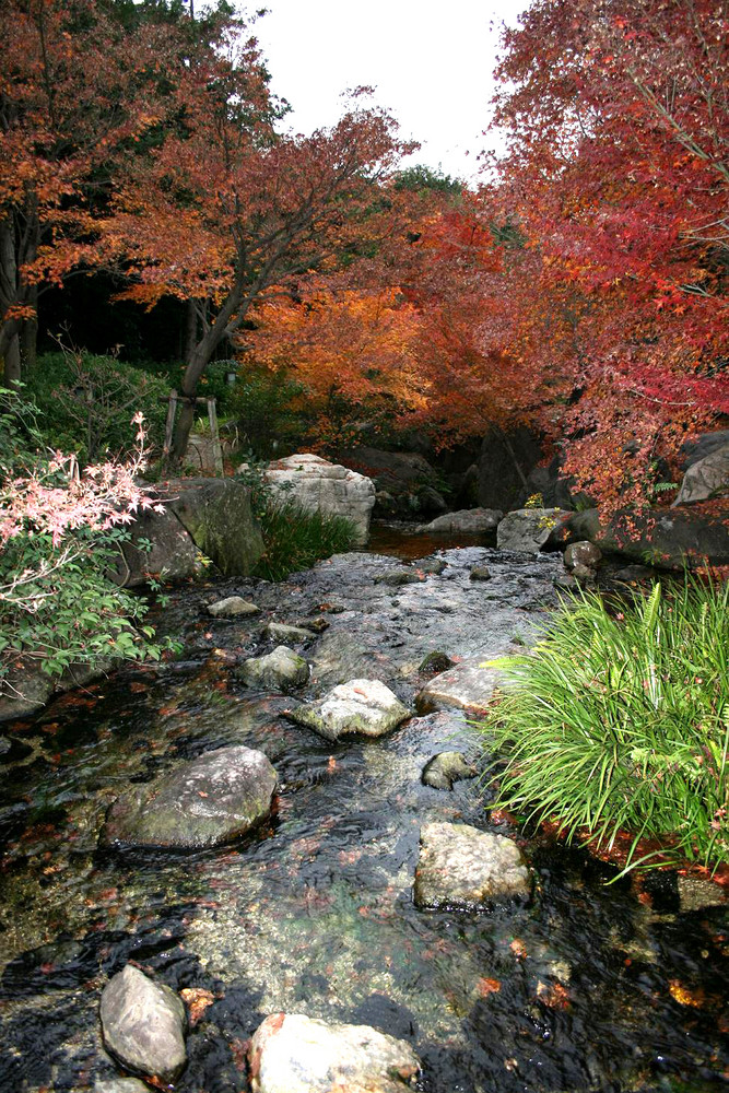 La cascade automnale