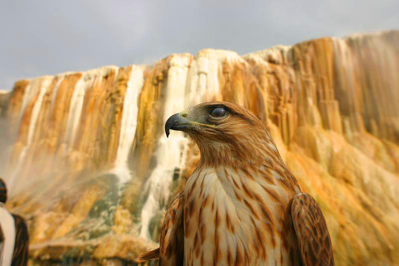 la cascade de hamame maskhotine guelma