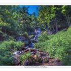 la cascade de l'Andlau ou du Hohwald