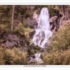 la cascade de l'Andlau ou du Hohwald