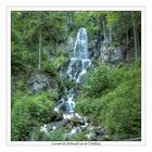 la cascade de l'Andlau ou du Hohwald