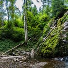 La Cascade du Heidenbad