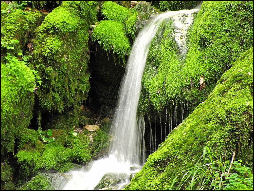 La cascade du Pont du Diable !