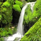 La cascade du Pont du Diable !