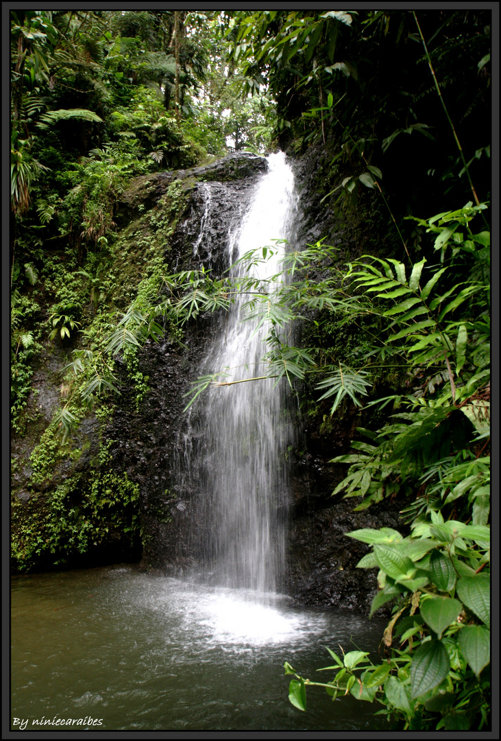 "la cascade du saut du gendarme"