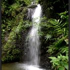 "la cascade du saut du gendarme"