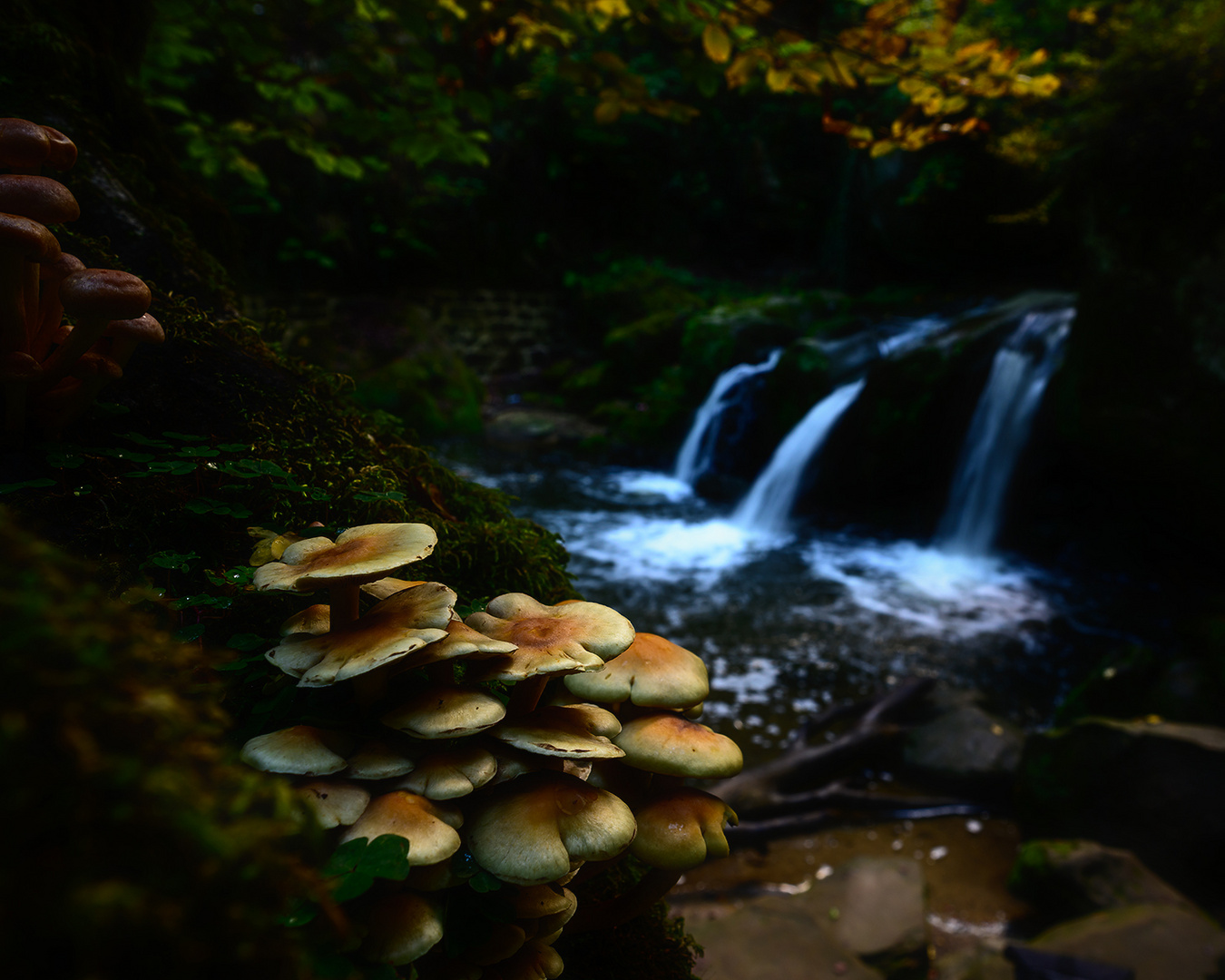 La Cascade du Schießentümpel