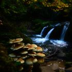 La Cascade du Schießentümpel