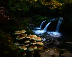 La Cascade du Schießentümpel