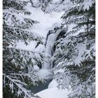 La cascata fra gli alberi