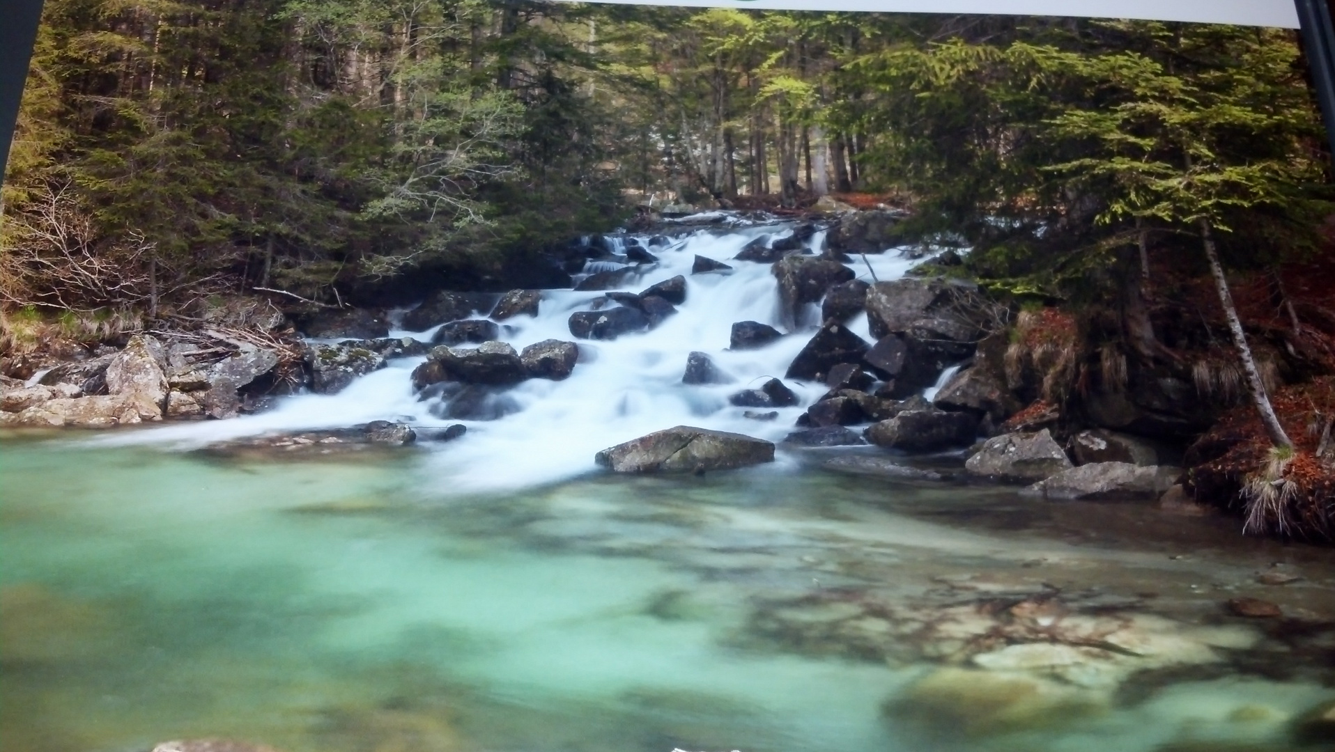 La cascata nel bosco