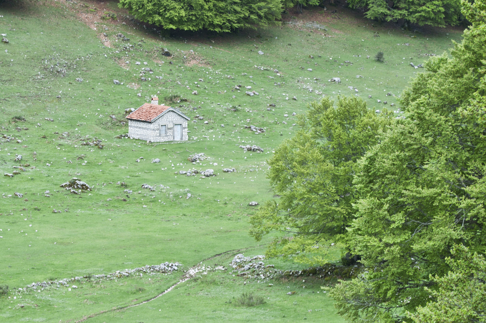 La casetta d'Estate