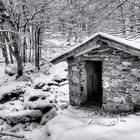 La Casetta nel Bosco