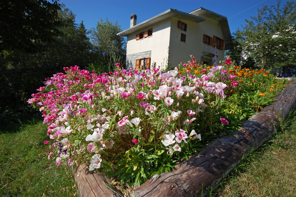 La casetta tra i fiori