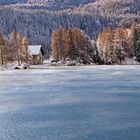 la casetta , versione  autunno/inverno