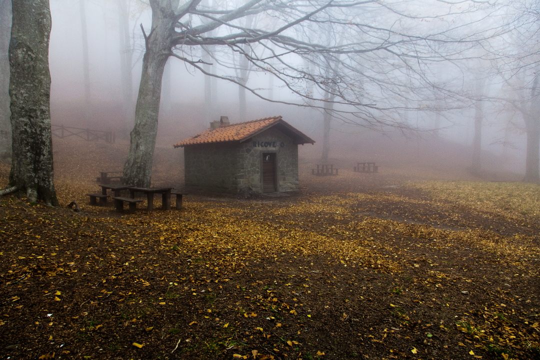 La Casina degli GNOMI