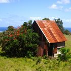 La casita de chapa