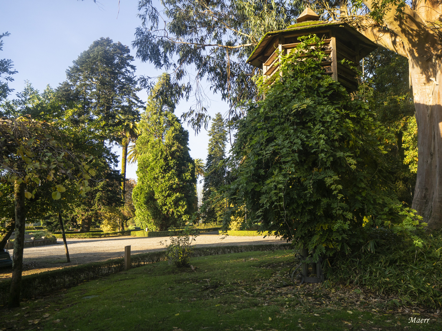 La casita de las palomas