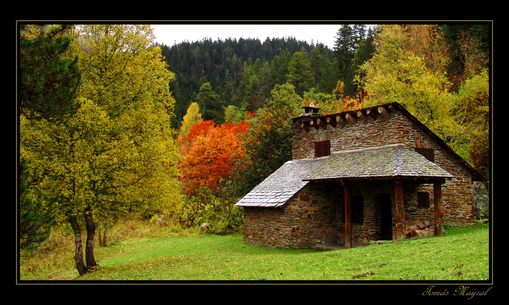 La Casita del Bosque