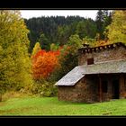 La Casita del Bosque