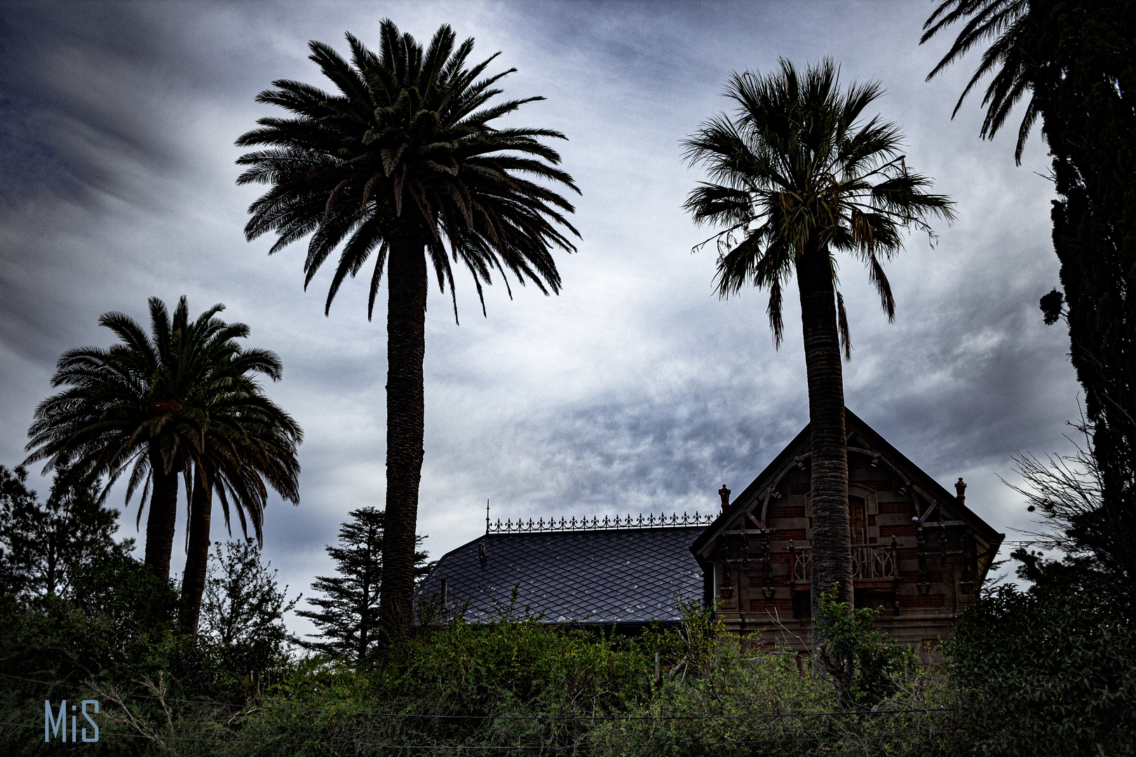 La casona de las palmeras