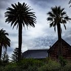 La casona de las palmeras