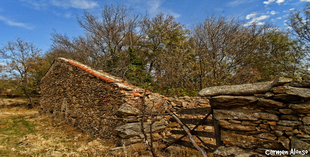 La casona (Para Ana Iglesias)