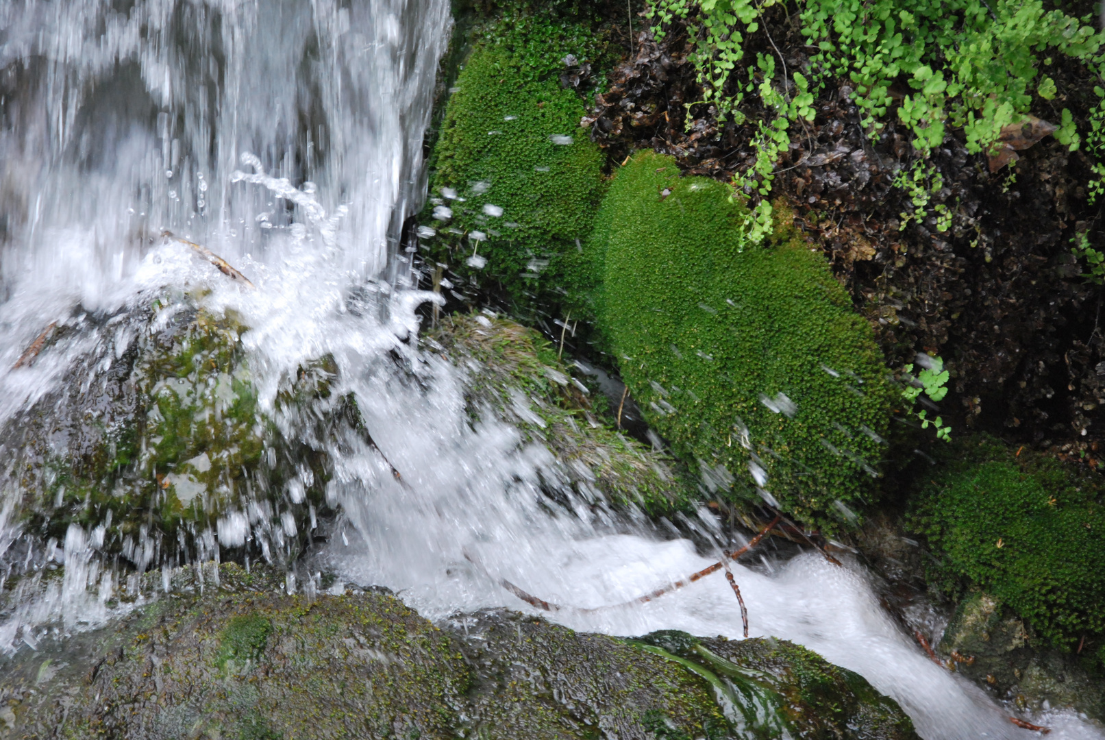 LA CATARATA