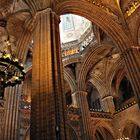 La Catedral de Barcelona, Catalunya