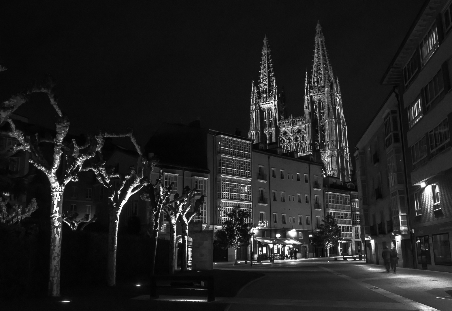 La Catedral de Burgos nocturna