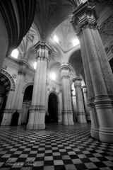 ...la catedral de Granada 2...