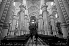...la catedral de Granada...