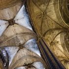 La Catedral de la Santa Creu i Santa Eulàlia