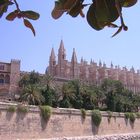 La catedral de Palma