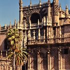 la catedral de Sevilla