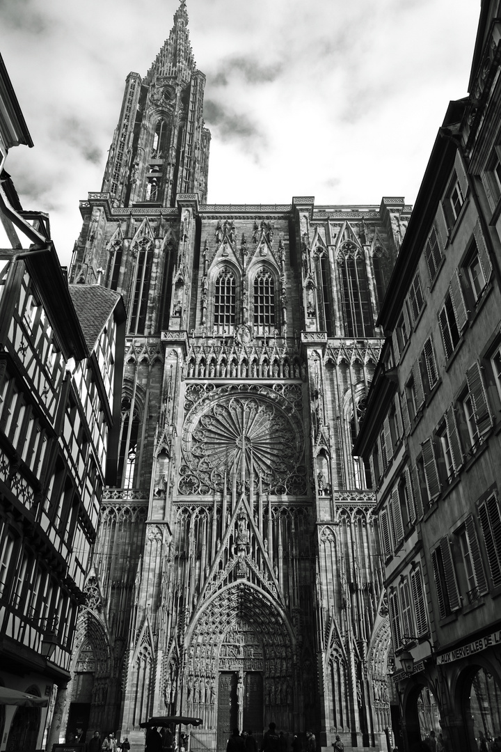 La Cathedrale 2