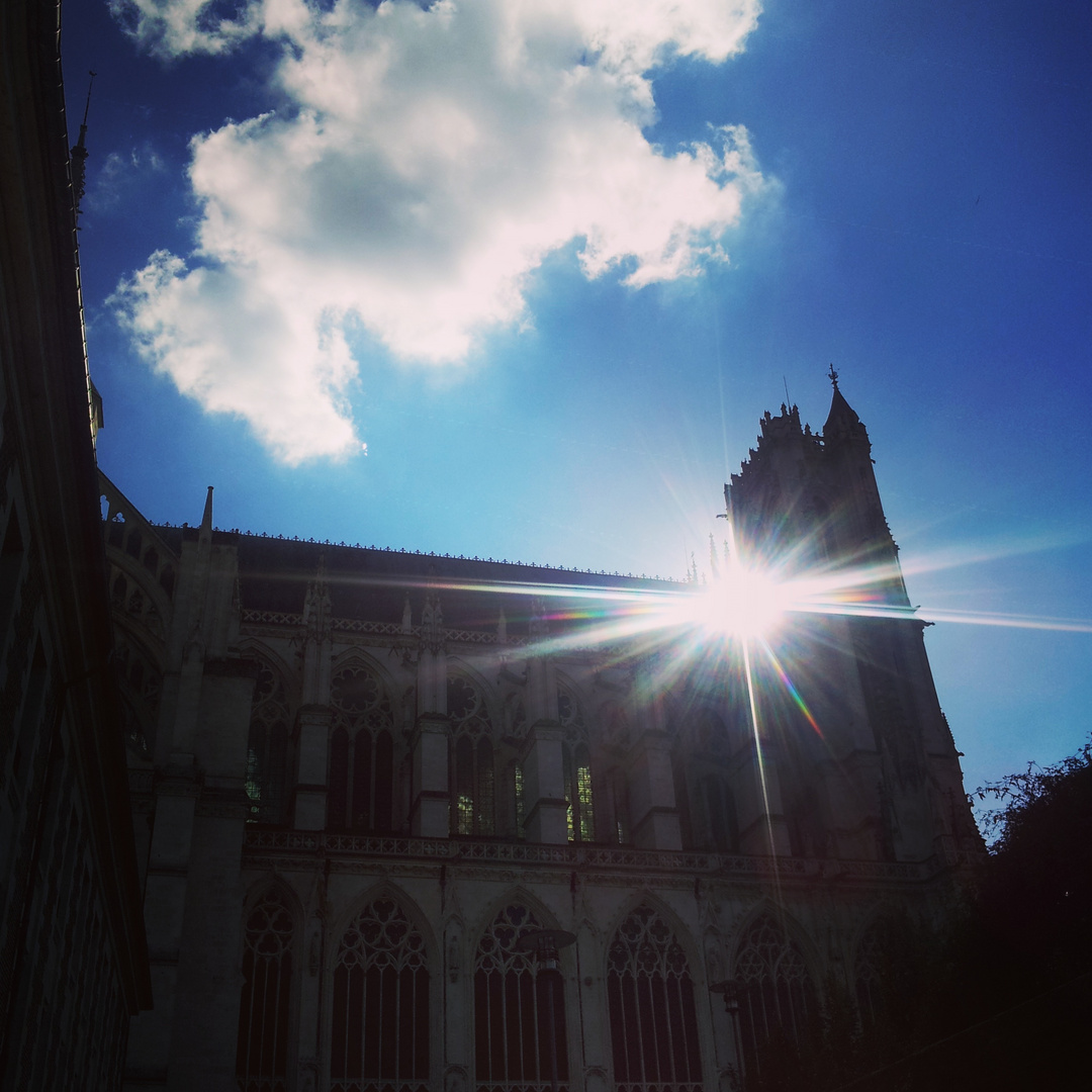 La Cathédrale d'Amiens vue du jardin médiéval .