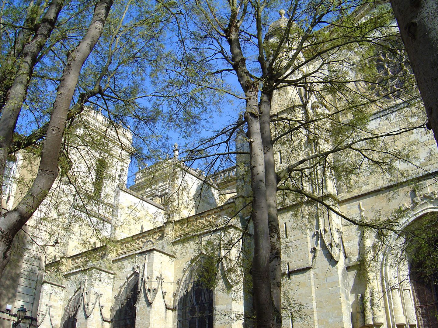 La Cathédrale d’Auch