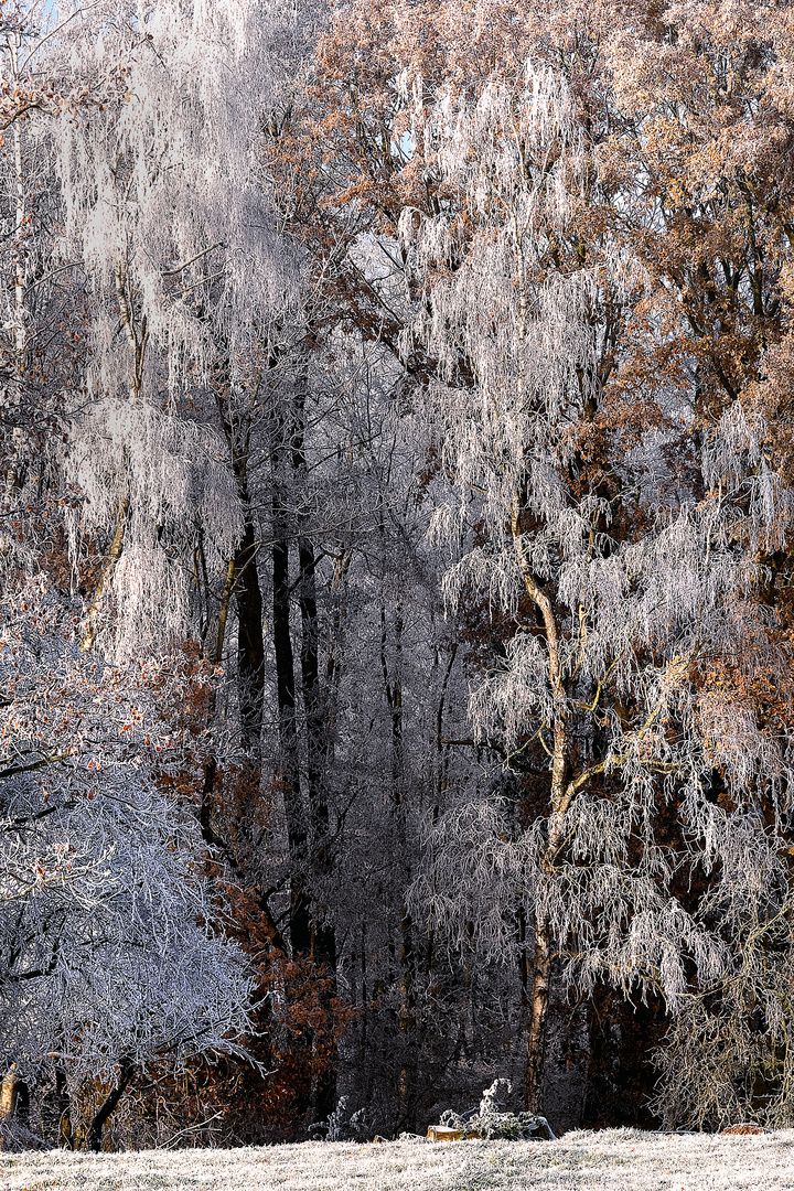 La cathédrale de givre