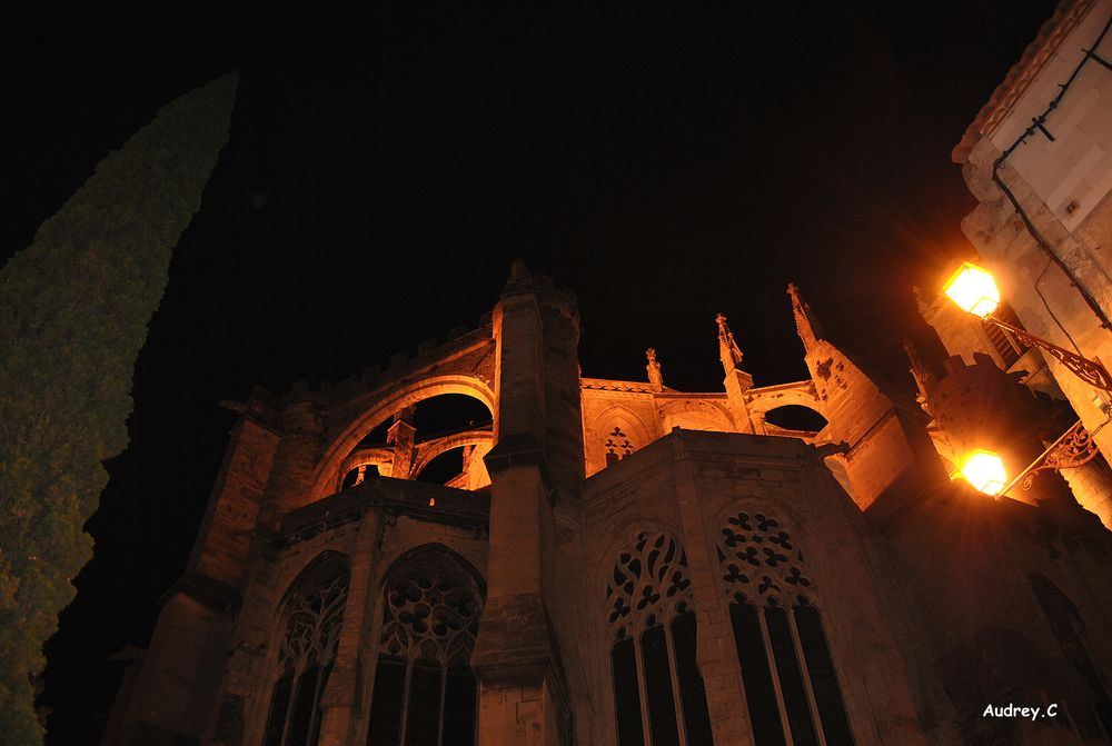 La cathedrale de Narbonne (11) by audrey.C 