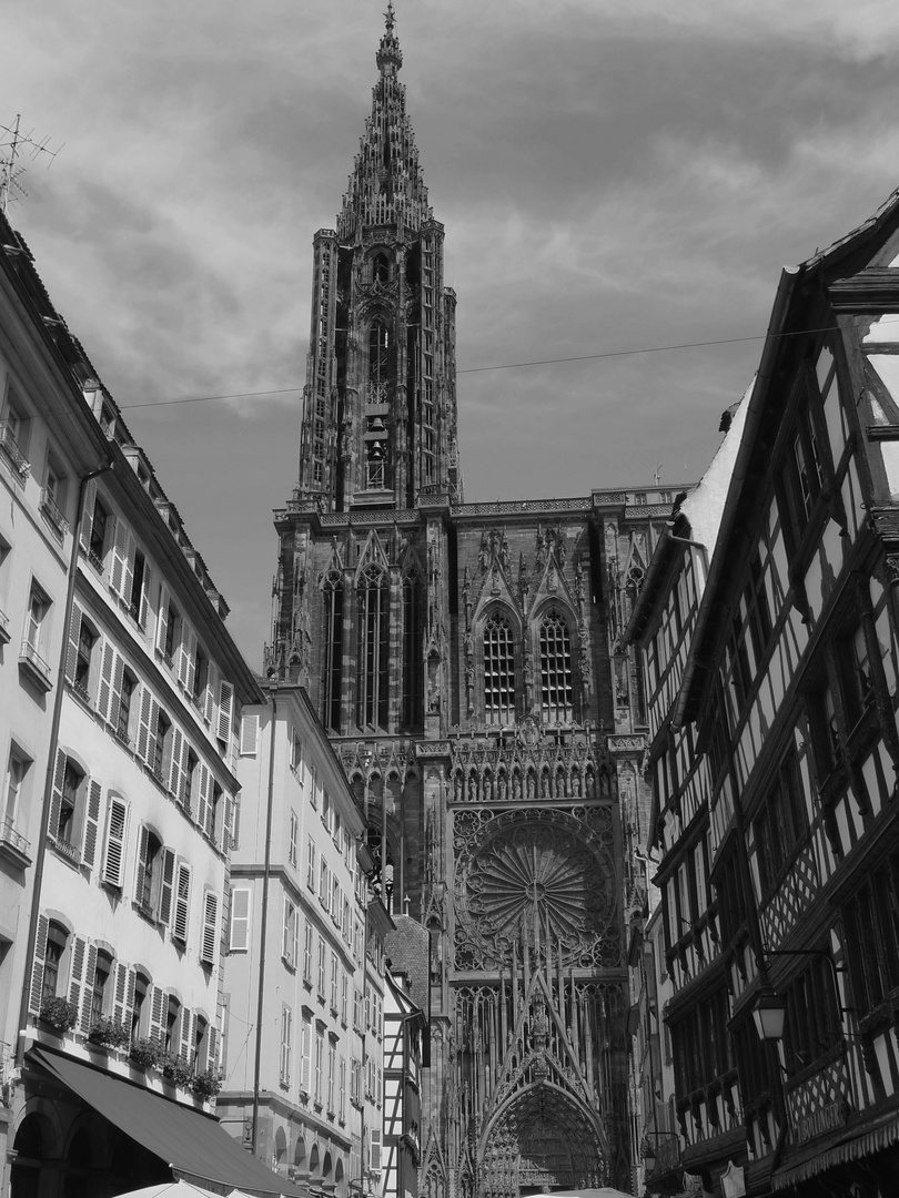 La Cathédrale de Strasbourg