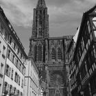 La Cathédrale de Strasbourg