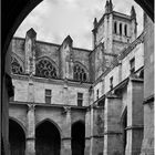 La Cathédrale Saint-Pierre vue du Cloître  --  Condom, Gers